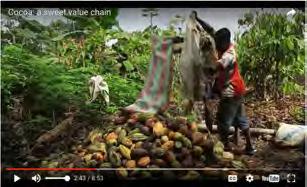The STDF produced a new film entitled Cocoa: a sweet value chain, highlighting how SPS standards help to make sure that chocolate is safe for consumers.