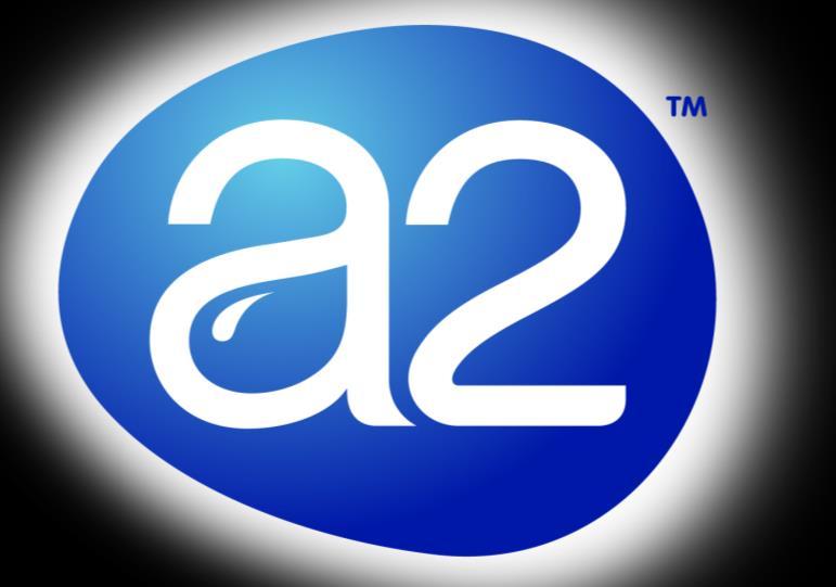 A2 Corporation FY13