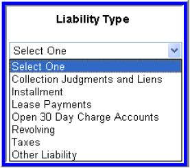 Liability Type Other Liability Combine all balance and payments for liabilities not held