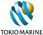Overview of February 14, 2019 Tokio Marine Holdings, Inc. Abbreviations used in this material TMNF : Tokio Marine & Nichido Fire Insurance Co., Ltd.