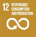 processes, with all countries taking action in accordance with their respective capabilities The UN SDG 11 consists in making cities inclusive, safe, resilient and sustainable, with targets by 2030