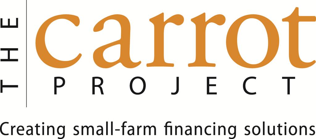Borrower s Financial Glossary The Carrot Project These terms are used throughout the application. You may find this list helpful as you organize your financial information.
