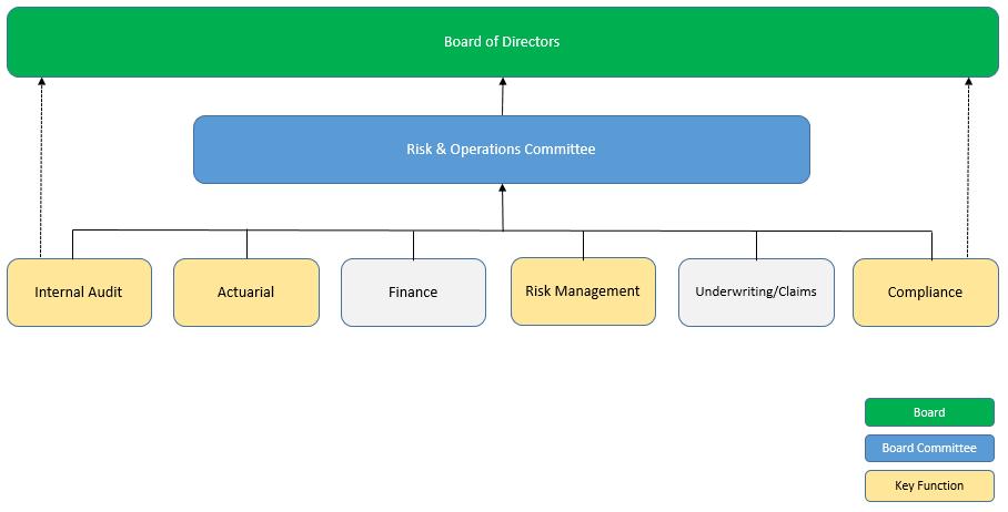 B.1.2 Role of the Board The key role of the Board is leadership and oversight of the implementation of the business strategy by management in a transparent and effective manner.