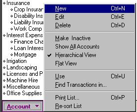 1. In the chart of accounts, click the