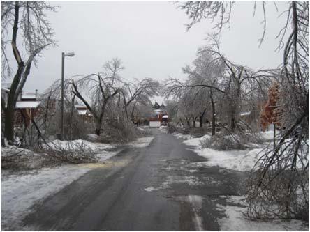 Ice Storm December 2013 Significant Damage experienced $2m in initial response costs (2013) Over $18m forecasted for continued debris removal and future tree