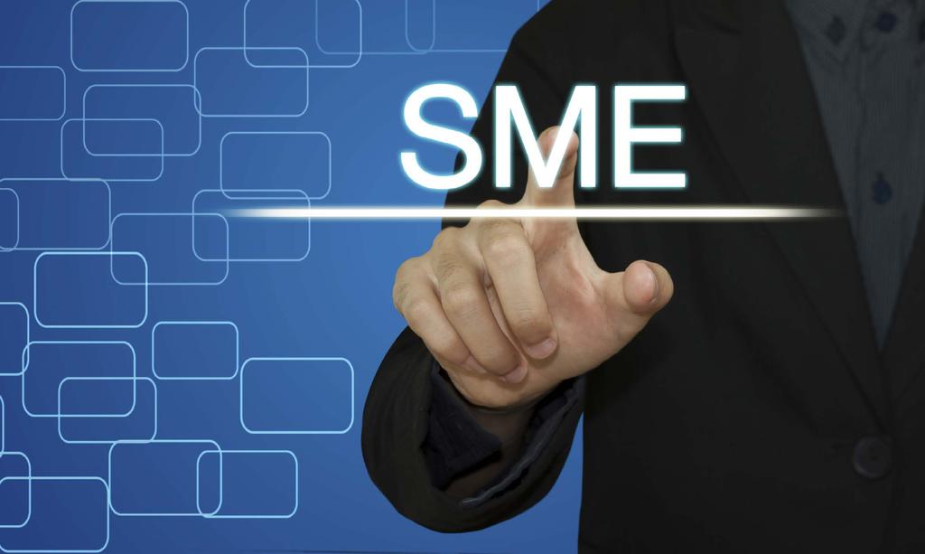 Small and Micro Enterprises (SME s) 2018-2019 Tax and Customs Income tax exemption to be applicable to selected sectors with maximum turnover threshold of $500,000.