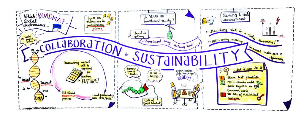 July 2015 Collaboration for Sustainability There is a need to build up a relationship with the banking financial institutions based on the balance between sustainability and impact.