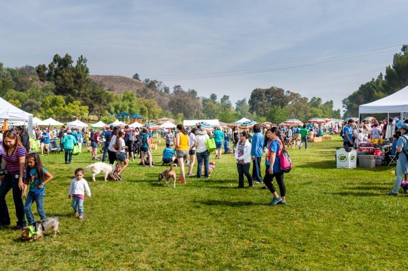 In 2017, the Walk attracted nearly 1,300 participants from across Southern California, along with their dogs, and raised over $92,000! Participants register for this exciting 1.