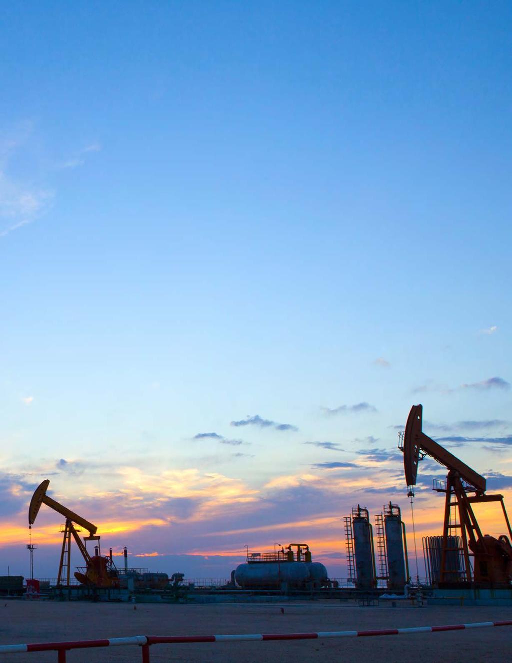 EY Energy Executive Insight: Energy companies responded to the 2014 collapse of crude prices by pulling all the traditional levers that enable them to reduce costs and adjust to market conditions.