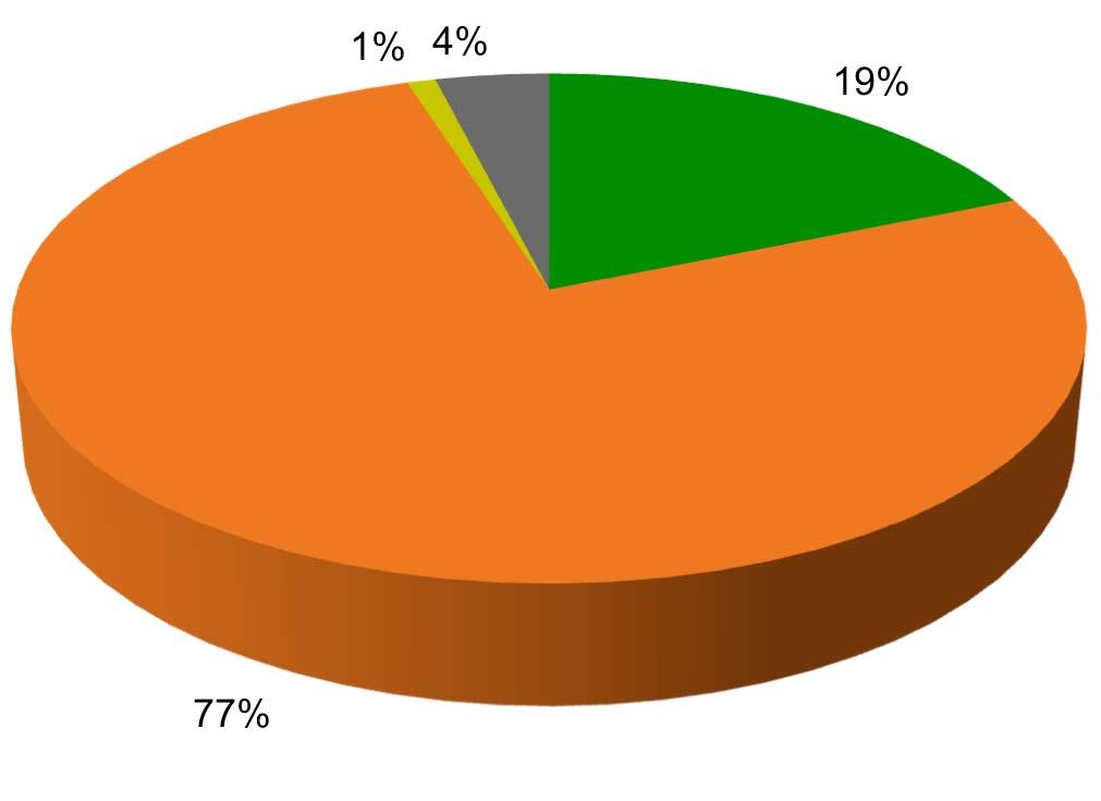 1% 4% 19% Male Female
