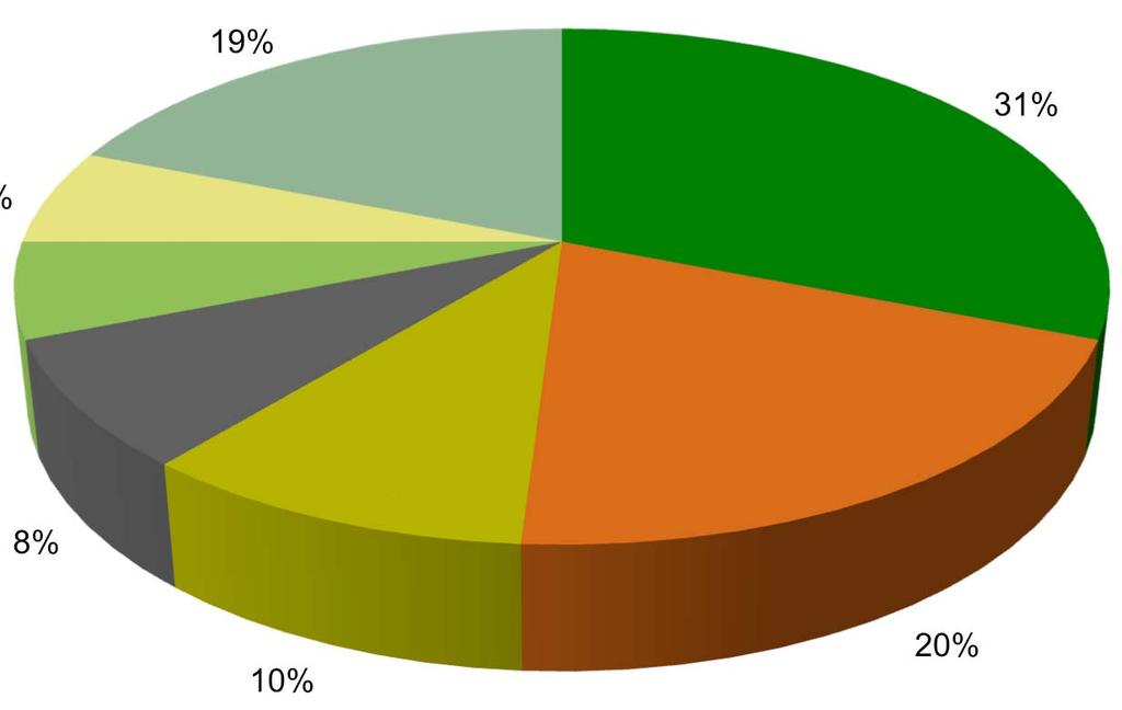 19% 31% 6% 6% 8% WW Co-op Mt Airy WW Co-op Chestnut Hill