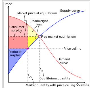What About Pricing Policies that generate a loss of consumer surplus?