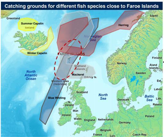WHAT MAKES FAROE ISLANDS SPECIAL?