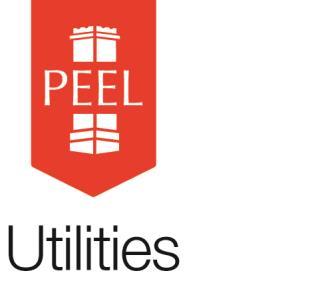PEEL WATER NETWORKS LIMITED CODE OF PRACTICE FOR DEBT Peel Water Networks