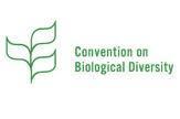 Process towards the development of the post-2020 global biodiversity framework Markus Lehmann, CBD Secretariat