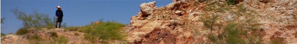 Peer Comparison Resource Tonnage and Grade Talison Lithium Greenbushes NeoMetals Mt Marion Nemaska Exploration Whabouchi - Canada Pilbara Minerals