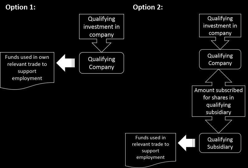 2 Qualifying company [Chapter 2] In order for a company to raise funding to which relief under EII, SCI or SURE can apply, the company must be a qualifying company.