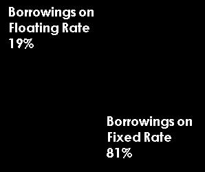 81% of fixed rate borrowings provides certainty of interest expense MSO Trust bank loan $86m RCS Trust revolving facility loan