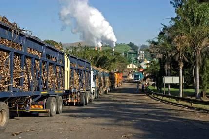 OVERVIEW SOUTH AFRICA SUGAR Rationalisation of SA business progressed Finalisation of Pongola mill sale to TSB Follows sale of Umfolozi, and Gledhow + purchase of 30% + management SA business