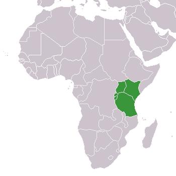 The East African Community: History East Africa High Commission: 1948-61 Kenya, Uganda, Tanganikya East
