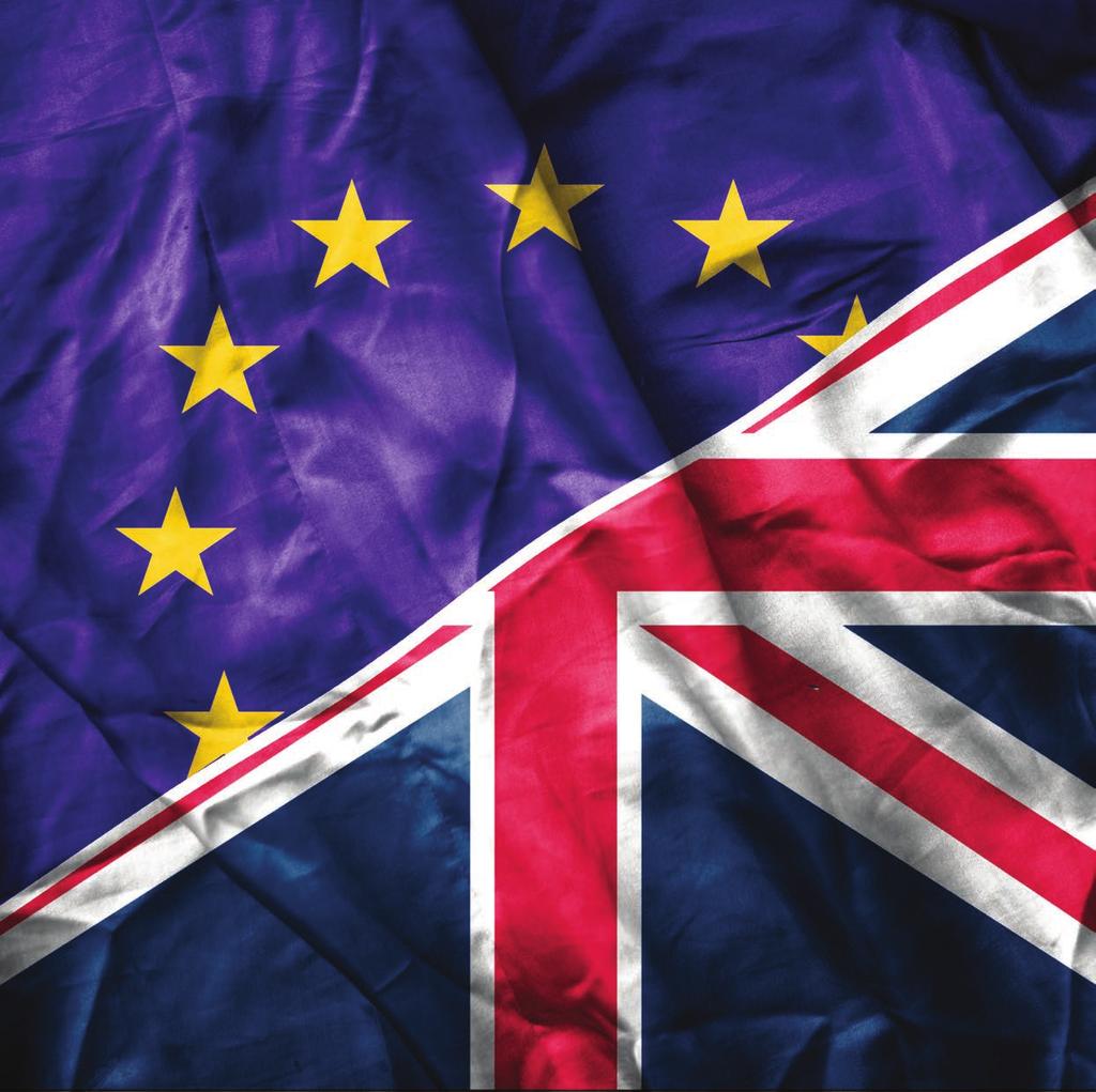The Implications of the UK s EU Membership Referendum for the Travel Industry EyeforTravel has collated economic, polling and