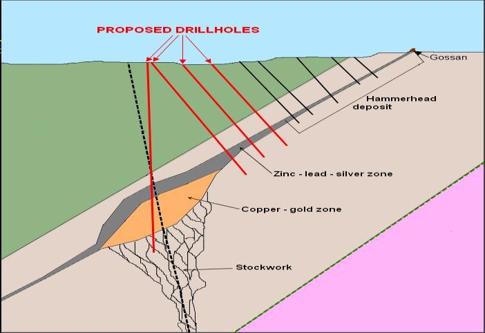 Figure 4 - Planned drilling cross section at the Hammerhead Prospect Further details of this programme will be provided as management prepares for the campaign following completion of the acquisition.
