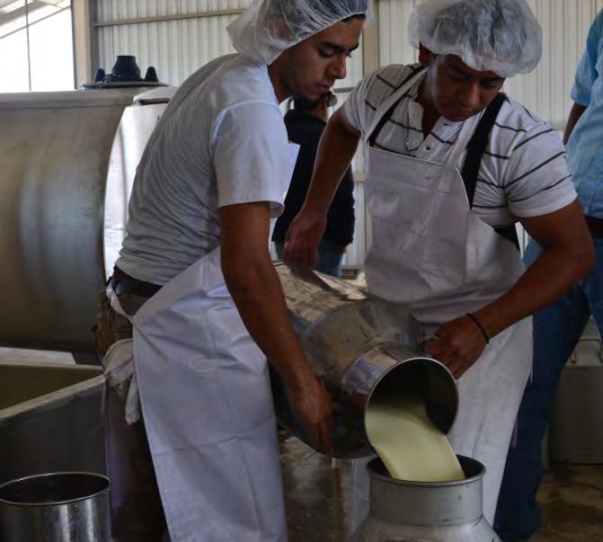 Santo Domingo Dairy Chilling Centre Capsay Egg Producers Association ( CEPA ) Alfa & Omega Sewing Shop