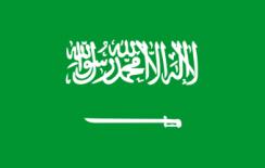 Saudi Arabia Overview General information: Capital: Official language(s): Main religion: Main ethnic group: Population: Area: - Population density: Total GDP 1 in 2016: - GDP 1 per capita: Corporate