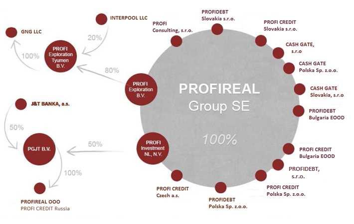 Organizational structure of PROFIREAL