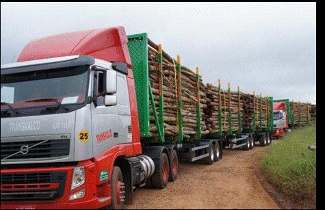2. Forestry operations productivity Transportation PIFF Timber transportation Woodchip