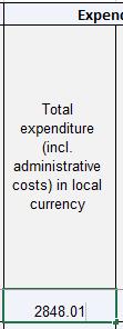 Expenditure for each benefit under the scheme 2.19. Fill in the Total expenditure (incl.