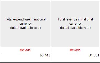 Fill in the Total expenditure and Total revenue for the scheme in