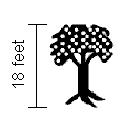 a. y = 15 c. y = 3 b. y = 3 d. y = 15 56. What is the tree s height in inches? a. 6 inches b. 54 inches c. 216 inches d. 648 inches 57.