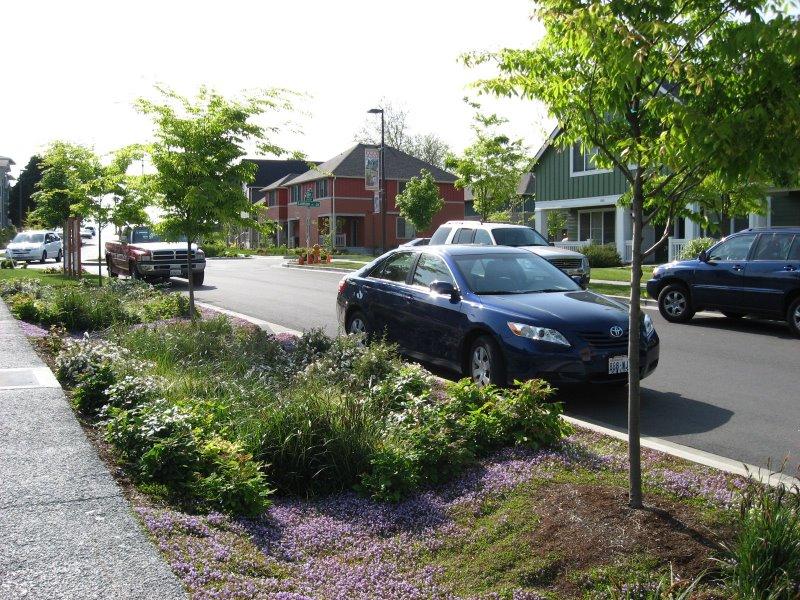 Figure 8 - Bioswale, Source: EPA 23 Rain gardens, another type of green infrastructure, are made up of plants planted in holes of sand rather