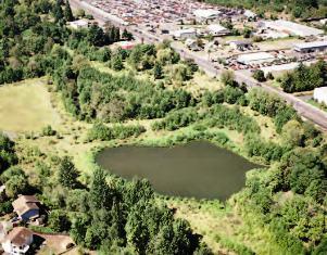 Figure 10 - Retention Pond, Source: EPA 25 In addition, pervious pavement and structural soils allow for slower stormwater drainage, and reduce the burden on local