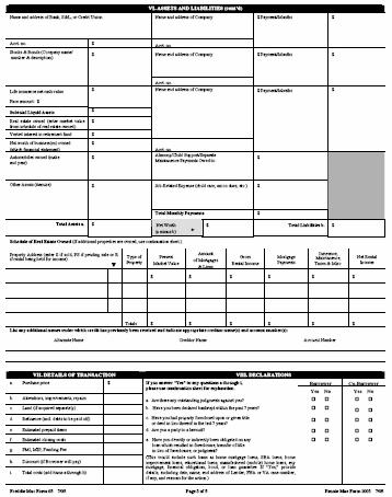 Loan Application Page 15 Capital VI. Assets and Liabilities (cont.