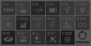 Finance Sector Supports Sustainable Development Goals Finance sector contributes to achieving 11 of 17 SDGs