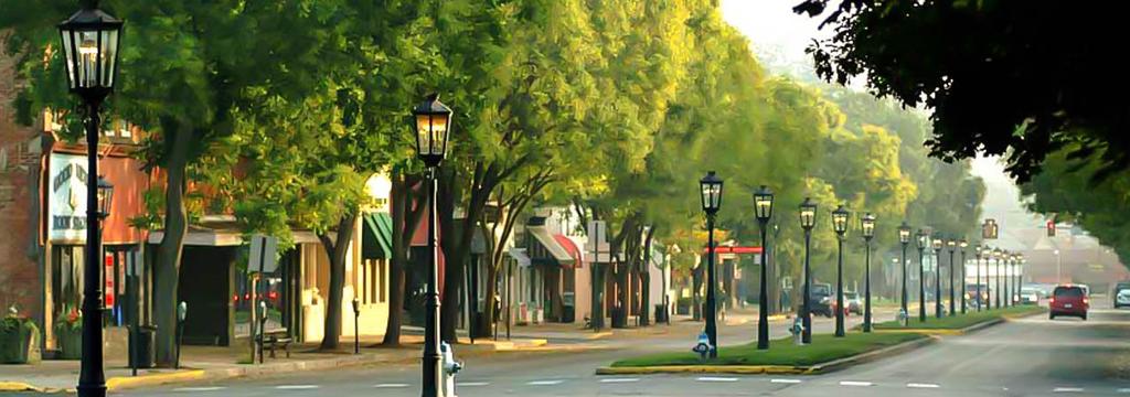 My Town Wants to Create a Shade Tree