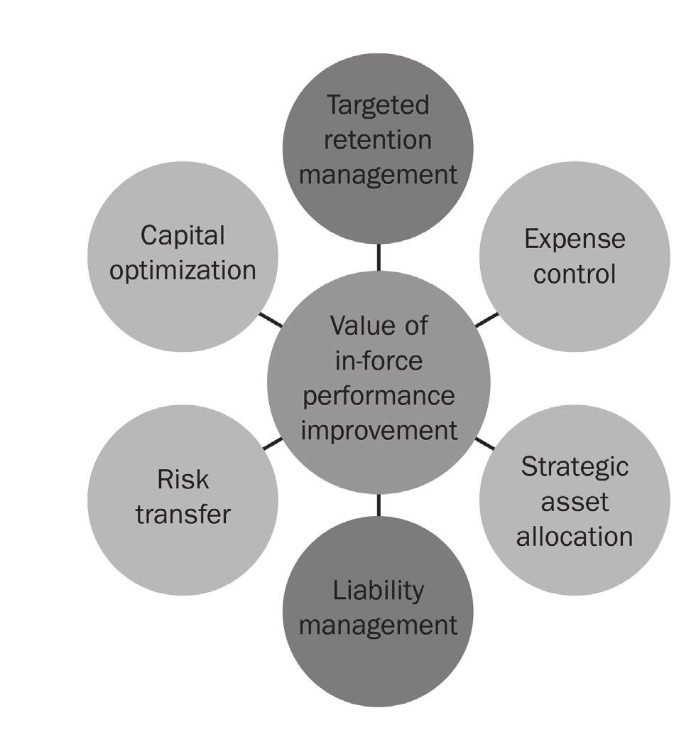 How Can Life Insurers Improve the Performance of Their In-Force Portfolio?