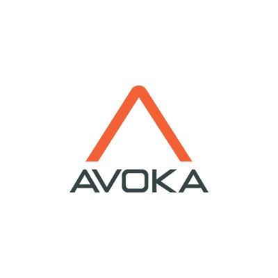 Integration of Avoka progressing well Acquired Avoka in December 2018 for USD 245m Avoka is a US headquartered market leader in customer acquisition and on boarding Enables banks to create simple