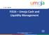 FI316 Umoja Cash and Liquidity Management. Umoja Cash and Liquidity Management Version 13 Last Modified: 16-August-13 Copyright United Nations