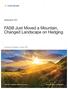 FASB Just Moved a Mountain, Changed Landscape on Hedging