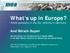 What s up in Europe? Public pensions in the EU, reforms in Germany