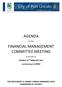 AGENDA FINANCIAL MANAGEMENT COMMITTEE MEETING