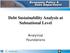 Debt Sustainability Analysis at Subnational Level. Analytical Foundations
