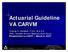 Actuarial Guideline VA CARVM