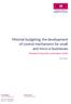 Minimal budgeting: the development of control mechanisms for small and micro e-businesses