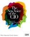New Vo ic e. of the C IO. Insights from the Global Chief Information Officer Study. Midsize Organization Executive Summary