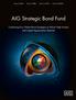 AIG Strategic Bond Fund
