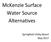 McKenzie Surface Water Source Alternatives
